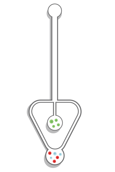 Chip veritcall Chip veritcall